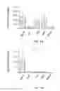 Fig. 02 - Nanoparticulate compositions comprising interferon gamma and losartan for immunotherapy