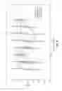 Fig. 06 - Method of administration of gamma hydroxybutyrate with monocarboxylate transporters