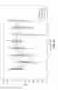 Fig. 11 - Method of administration of gamma hydroxybutyrate with monocarboxylate transporters