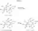 Fig. 04 - [2.2.2] bicyclic derivatives and methods of use