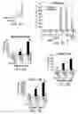 Fig. 06 - Methods of targeting APE/Ref-1 to inhibit hypoxia signaling genes