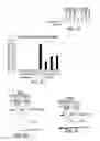Fig. 07 - Methods of targeting APE/Ref-1 to inhibit hypoxia signaling genes