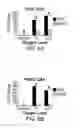 Fig. 08 - Methods of targeting APE/Ref-1 to inhibit hypoxia signaling genes