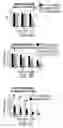 Fig. 11 - Methods of targeting APE/Ref-1 to inhibit hypoxia signaling genes