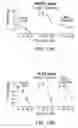 Fig. 12 - Methods of targeting APE/Ref-1 to inhibit hypoxia signaling genes