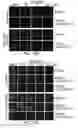 Fig. 14 - Methods of targeting APE/Ref-1 to inhibit hypoxia signaling genes