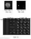 Fig. 17 - Methods of targeting APE/Ref-1 to inhibit hypoxia signaling genes