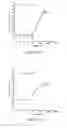 Fig. 04 - HYDRAZONE MODULATORS OF CANNABINOID RECEPTORS