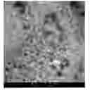 Fig. 01 - Temozolomide powder formulation