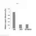 Fig. 03 - METHODS AND MATERIALS FOR TREATING CANCER