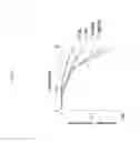 Fig. 04 - METHODS AND MATERIALS FOR TREATING CANCER