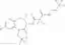 Fig. 43 - Targeted notch pathway inhibitors