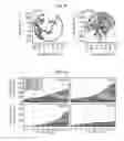 Fig. 06 - Compositions and Methods for Muscle Regeneration Using Prostaglandin E2