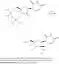 Fig. 49 - 4'-Fluoro-2'-Methyl Substituted Nucleoside Derivatives as Inhibitors of HCV RNA Replication