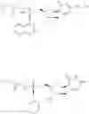 Fig. 73 - 4'-Fluoro-2'-Methyl Substituted Nucleoside Derivatives as Inhibitors of HCV RNA Replication