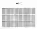 Fig. 03 - Methods and compositions for treating wounds utilizing chitosan compounds