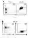 Fig. 02 - POLYCLONAL GAMMA DELTA T CELLS FOR IMMUNOTHERAPY