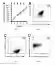 Fig. 07 - POLYCLONAL GAMMA DELTA T CELLS FOR IMMUNOTHERAPY