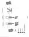 Fig. 33 - POLYCLONAL GAMMA DELTA T CELLS FOR IMMUNOTHERAPY