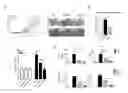 Fig. 01 - Low-Oxygen-Treated Mesenchymal Stem Cell and Use Thereof
