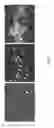 Fig. 04 - Compositions and methods