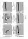 Fig. 18 - Compositions and methods