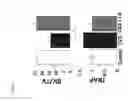 Fig. 03 - Selection and use of lactic acid bacteria preventing bone loss in mammals