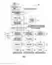 Fig. 02 - EUGLENA DERIVED COMPOSITION HAVING BIOMASS AND IMMUNE RESPONSE INDUCING COMPONENTS