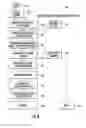 Fig. 07 - EUGLENA DERIVED COMPOSITION HAVING BIOMASS AND IMMUNE RESPONSE INDUCING COMPONENTS