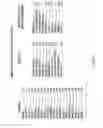 Fig. 12 - EUGLENA DERIVED COMPOSITION HAVING BIOMASS AND IMMUNE RESPONSE INDUCING COMPONENTS