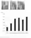 Fig. 02 - Composition for the treatment of neurobehavioral disorders