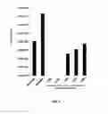 Fig. 11 - METHOD AND COMPOSITIONS FOR THE USE OF BOTANICAL EXTRACTS IN THE TREATMENT OF VIRAL INFECTIONS, CANCER, PAIN, ITCH, AND INFLAMMATION