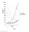 Fig. 24 - METHOD AND COMPOSITIONS FOR THE USE OF BOTANICAL EXTRACTS IN THE TREATMENT OF VIRAL INFECTIONS, CANCER, PAIN, ITCH, AND INFLAMMATION