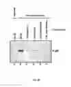 Fig. 49 - METHOD AND COMPOSITIONS FOR THE USE OF BOTANICAL EXTRACTS IN THE TREATMENT OF VIRAL INFECTIONS, CANCER, PAIN, ITCH, AND INFLAMMATION