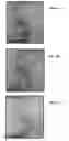 Fig. 52 - METHOD AND COMPOSITIONS FOR THE USE OF BOTANICAL EXTRACTS IN THE TREATMENT OF VIRAL INFECTIONS, CANCER, PAIN, ITCH, AND INFLAMMATION
