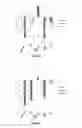 Fig. 58 - METHOD AND COMPOSITIONS FOR THE USE OF BOTANICAL EXTRACTS IN THE TREATMENT OF VIRAL INFECTIONS, CANCER, PAIN, ITCH, AND INFLAMMATION