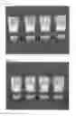 Fig. 06 - STABILIZED PEPTIDE COMPOSITION