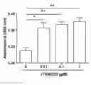 Fig. 01 - Composition for use in promoting wound healing