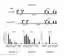 Fig. 02 - Methods for treating metabolic disorders using FGF
