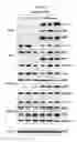 Fig. 07 - Methods for treating metabolic disorders using FGF
