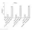 Fig. 06 - COMPOSITIONS COMPRISING SULFORAPHANE OR A SULFORAPHANE PRECURSOR AND A MUSHROOM EXTRACT OR POWDER