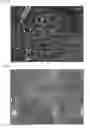 Fig. 03 - Process and composition for low dose insemination