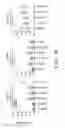 Fig. 03 - Immunogenic preprocalcitonin peptides