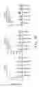 Fig. 05 - Immunogenic preprocalcitonin peptides