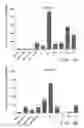 Fig. 07 - Immunogenic preprocalcitonin peptides