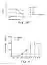 Fig. 12 - Immunogenic preprocalcitonin peptides