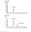 Fig. 16 - MULTIMERIC IL-15-BASED MOLECULES