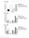 Fig. 19 - MULTIMERIC IL-15-BASED MOLECULES