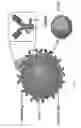 Fig. 02 - Targeted nanoparticle conjugate and method for co-delivery of siRNA and drug