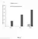 Fig. 04 - Halogenated heterocyclic N-halamine composition for the prevention and elimination of odors